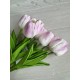 Тюльпани  букет ,  білі з бузковим   9 шт