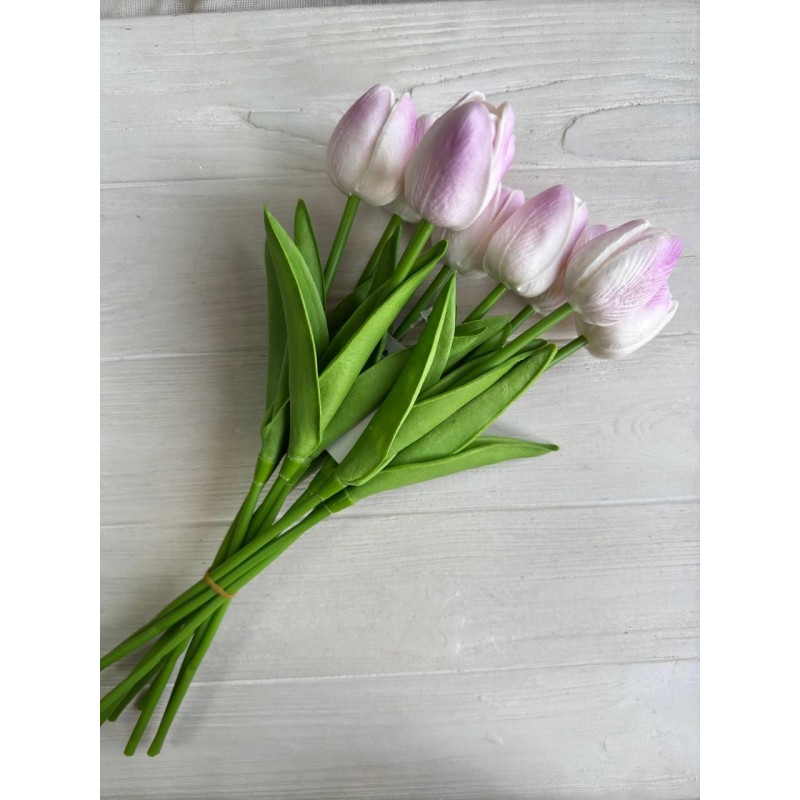 Тюльпани  букет ,  білі з бузковим   9 шт