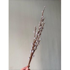 Ива искусственная ветка ,   серая