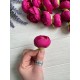 Ранункулюс бутон ,    малиновые              100 шт