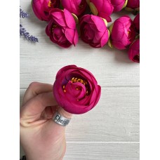Ранункулюс бутон ,    малиновые              100 шт