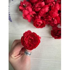 Пион головка , красный   100 шт