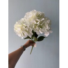 Гортензия пышная букет на ножке, бежевая
