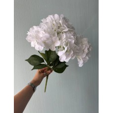 Гортензия пышная букет на ножке, белая