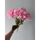 Гортензия пышная букет на ножке, розовая