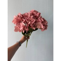 Гортензия пышная букет на ножке, пудра