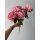 Букет пионов на ножке С30478, темно розовый