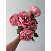 Букет пионов на ножке С30478, темно розовый