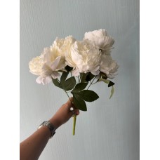 Букет пионов на ножке С30478, бежевый