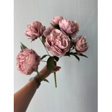Букет пионов на ножке С30478, пудра