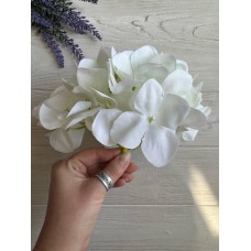 Гортензия головка маленькая  , бежевая