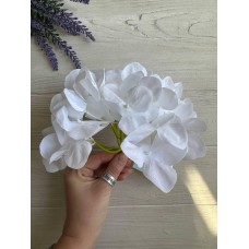 Гортензия головка маленькая  , белая