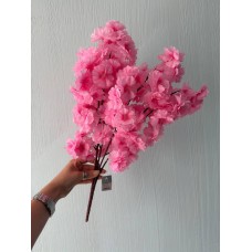 Сакура гілка " Коротка пишна "   , рожева