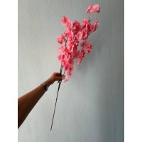 Сакура ветка " Длинная пышная  "     , коралловая