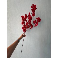 Сакура гілка " Довга "   , червона