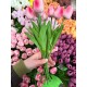 Тюльпани  букет, рожеві з білим   9 шт