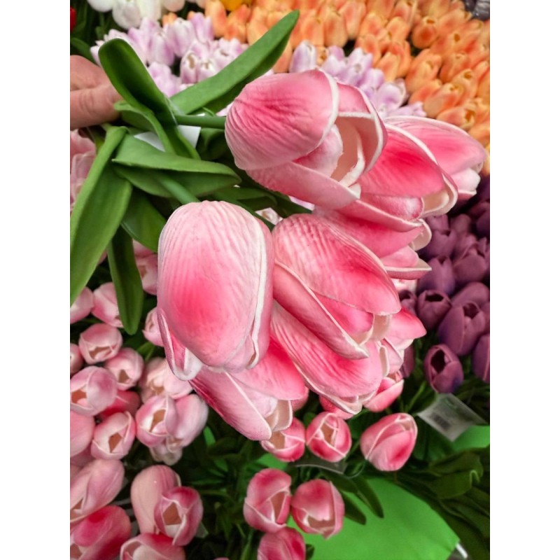 Тюльпани  букет, рожеві з білим   9 шт