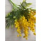 Гілка мімози 40 см   шт