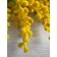 Гілка мімози 40 см   шт