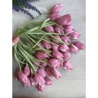 Тюльпан бант шифоновый пудра  20 шт