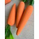 Морковка пенопластовае  см оранжевая  шт