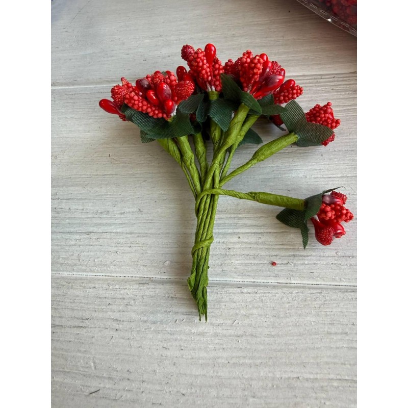 Домішка звичайна яскраво червона 12 букетів