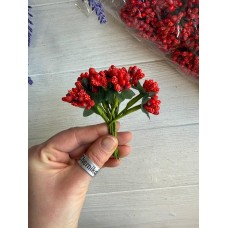 Домішка звичайна яскраво червона 12 букетів