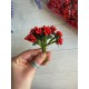 Домішка звичайна яскраво червона 12 букетів