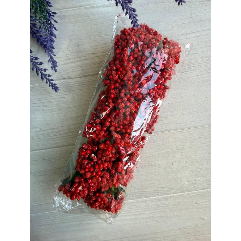 Домішка звичайна яскраво червона 12 букетів