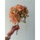 Зелень з квітами " 30660 "  помаранчева
