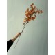 Сакура ветка " Длинная 30471 "  коричневая 1 шт