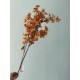 Сакура ветка " Длинная 30471 "  коричневая 1 шт