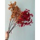 Сакура ветка " Длинная 30471 "  оранжево коричневая 1 шт
