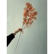 Сакура ветка " Длинная 30471 "  оранжево коричневая 1 шт