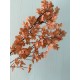 Сакура ветка " Длинная 30471 "  оранжево коричневая 1 шт