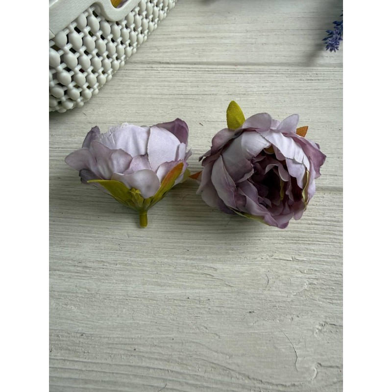 Пион кудрявый №2 головка  фиолетовая пудра 25 шт