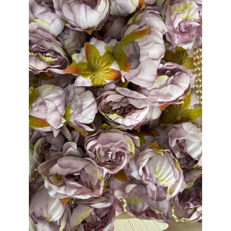 Пион кудрявый №2 головка  фиолетовая пудра 25 шт