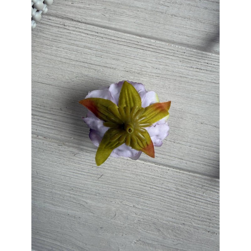 Пион кудрявый №2 головка  фиолетовая пудра 25 шт