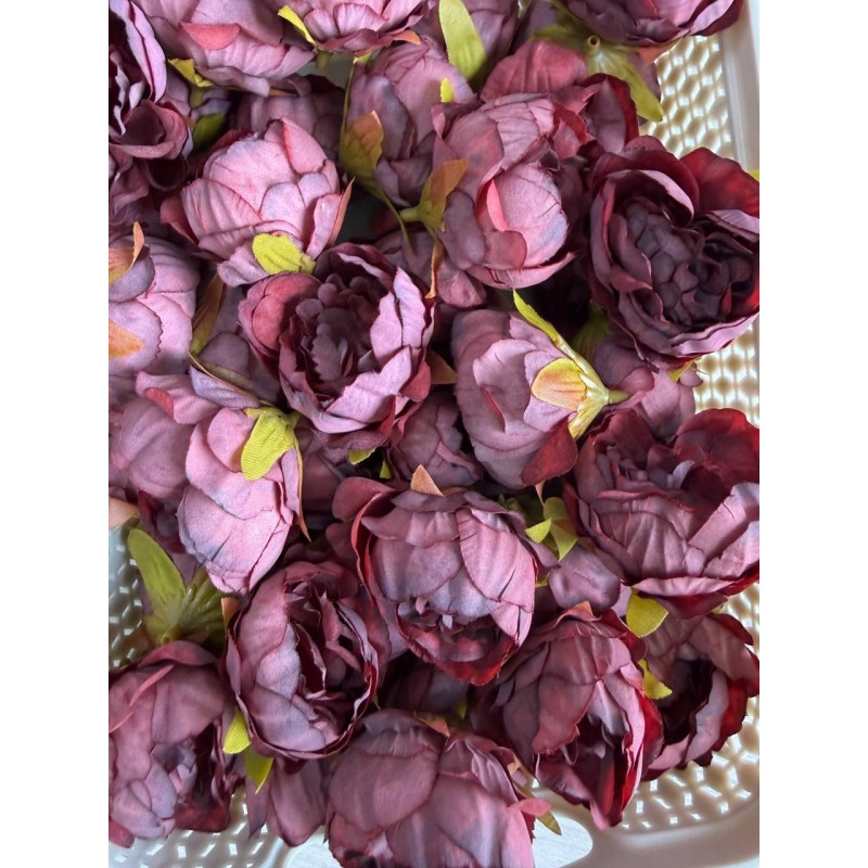 Півонія кучерява №2 головка марсала 25 шт