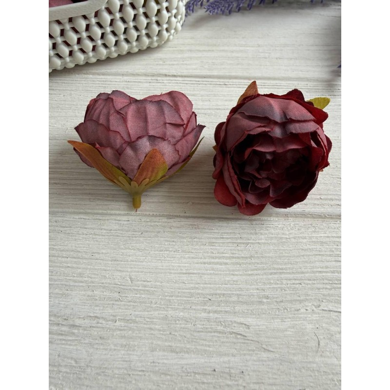 Півонія кучерява №2 головка марсала 25 шт