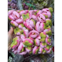 Ранункулюс бутон ,    розовый с малиновым                 100 шт