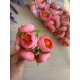 Ранункулюс букет  рожевий 30 шт
