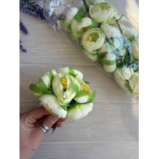 Ранункулюс букет, айворі 30 шт.