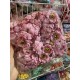 Мак головка рожевий 100 шт
