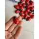 Божьи коровки деревянные  см  24  шт