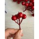 Шиповник 30728 красный  20 шт