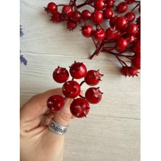 Шиповник 30728 красный  20 шт