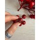Шиповник 30728 красный  20 шт