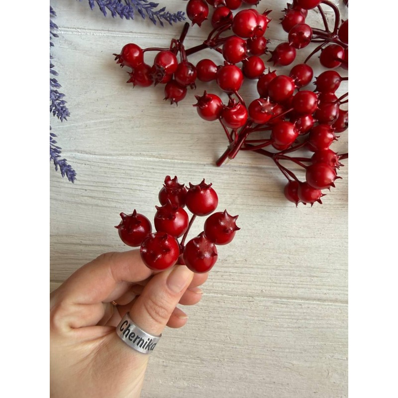 Шиповник 30728 красный  20 шт