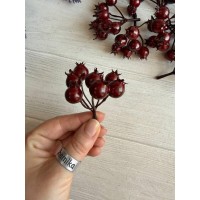 Шиповник 30728 бордовый  20 шт